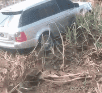 太疯狂了,俩性感美女坐车奶都快飞出来了!