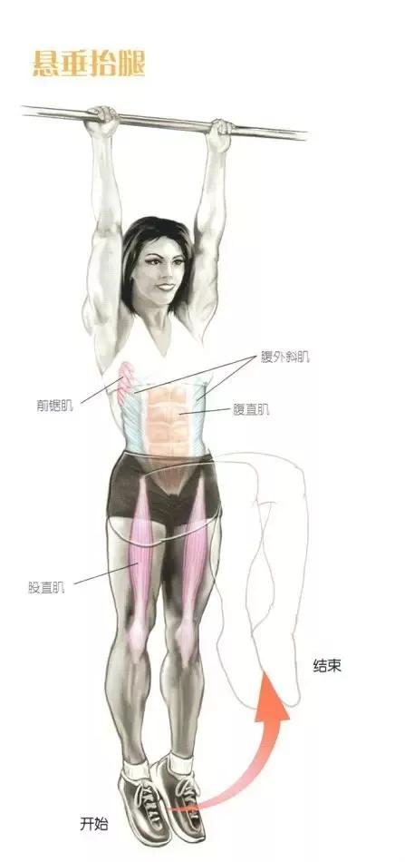 腹肌训练动作图解(22张图完全看懂腹肌训练)