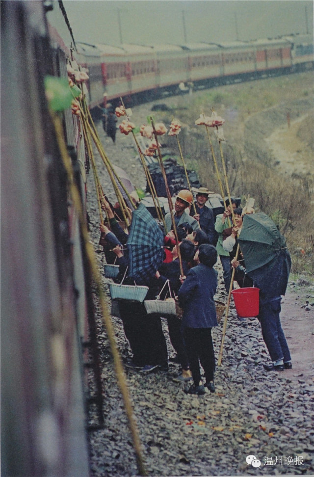 1980年浙江人口_浙江大学(3)