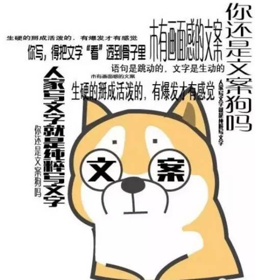 a8k6pm5615259706708.jpeg
