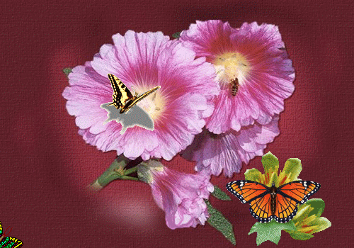 点击播放gif/167k