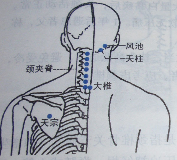 a5e4q476881245339596.jpg