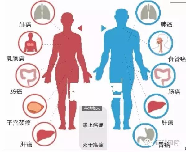 电位治疗仪与危害人类健康的三大疾病