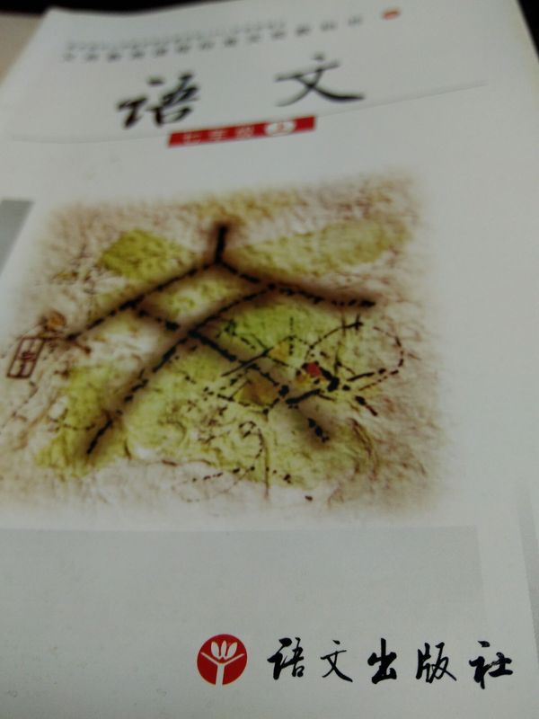 误尽语文是折腾--课程改革,不学拼音先识字