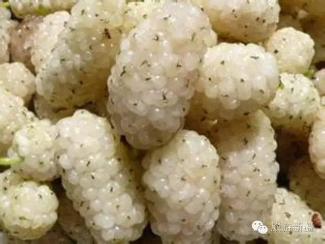 厌食症人口_厌食症患者图片(2)