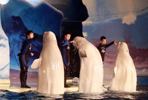 优雅的家16集完整版 a28afe0469323252855.jpg