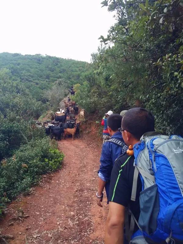 昆明十峰之安宁黑风山回顾