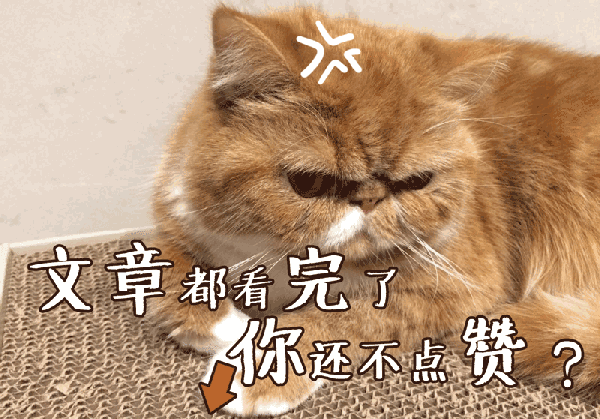 谢绝还价猜成语_小本生意谢绝还价图片