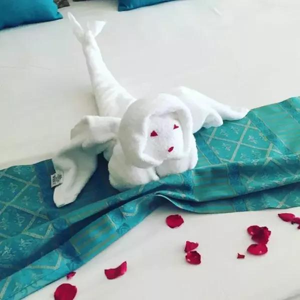 洪荒之力也管不住的客房阿姨