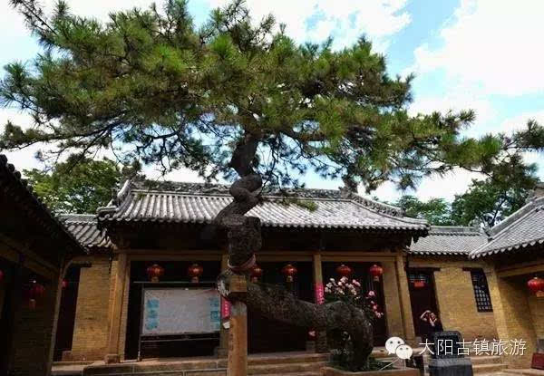 去,古油松大约有两层楼高,直径一米左右的古树主干偃卧于地面三尺有余