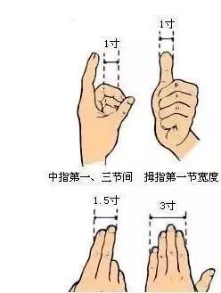 计算穴位位置的术语
