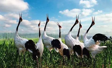 世界四大古都gdp_中国四大古都图片(3)