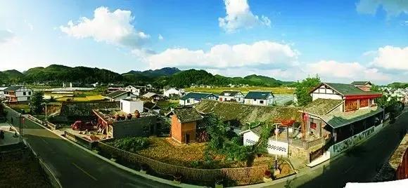 枫香镇人口_人口普查(3)