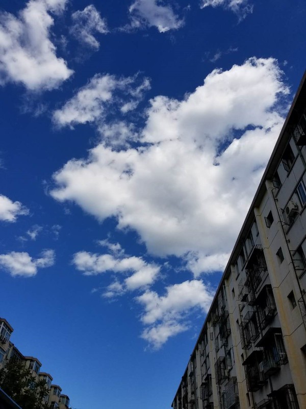 晴朗的天气更不在话下照片要多锐有多锐,随手就是大片.