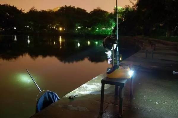 雨后夜钓的用饵技巧及夜钓灯用法