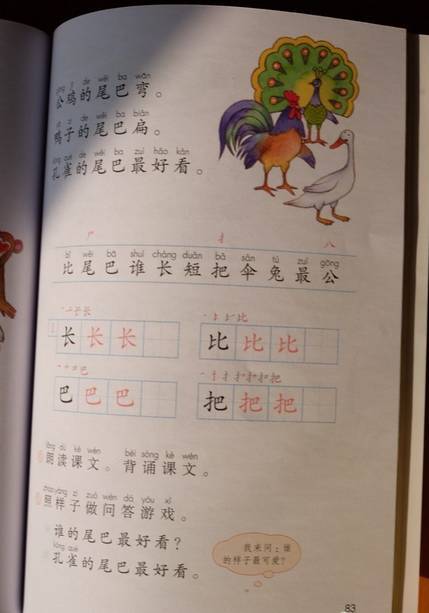 成语文什么书_语文书(3)