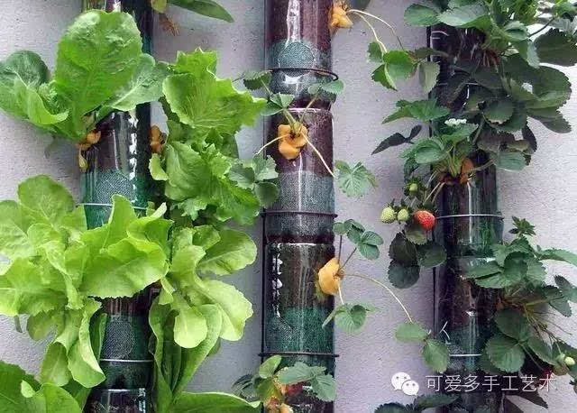塑料瓶酸奶杯不要扔,做成这些美爆了!(附教程)