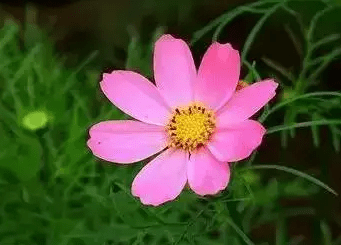 a1ept741755781784596.PNG