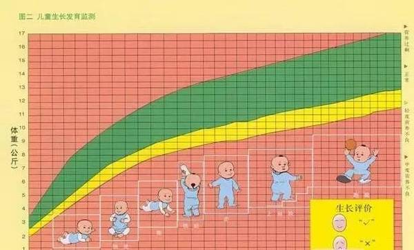 发育周期 搜狐网
