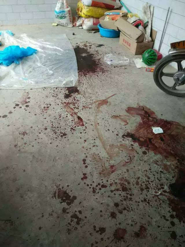 现场的血迹已经干涸, 但是还可以清晰地看见脚印, 两人撕扯过程中留