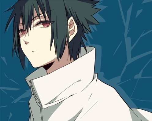 火影忍者疾风传里佐助在那几集出现?