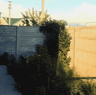 搞笑gif图:遇到如此淘气的姑娘,你就娶回家吧!