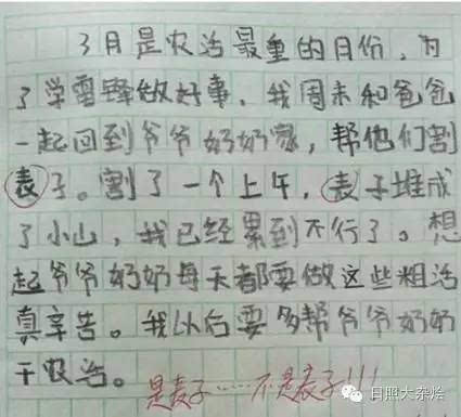 a2e2jm8649766829352.JPEG