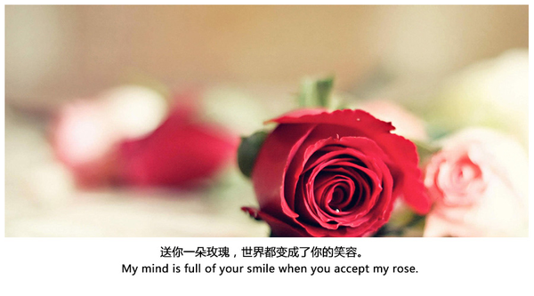 a3u2mu6350139908855.png