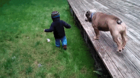 本来以为孩子和狗狗在一起很温馨,看到最后却笑哭了