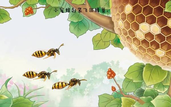 完 故事分享完了,你从故事中学习到了什么呢? 《采花蜜的小蜜蜂》互动绘本已经上线到kimi应用商店,kimi用户家长们现在就可以去下载和孩子一起体验哦~ 如何下载体验? 进入kimi儿童平板 - 应用商店 - 最新上架 - 找到 《采花蜜的小蜜蜂》绘本 - 点击下载即可! (kimikids i9 全面开售,为您守护天使般的孩子) 关于kimikids互动绘本,你或许还想看 大自然的清洁工,推粪球的屎壳郎 动物运动会要开始了,小猪是如何当上裁判的呢? 诙谐幽默的故事,迷糊的鸭子 kimikids互动绘本
