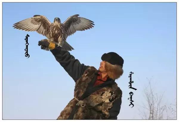 满洲精神的象征海东青图集