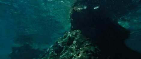 沙滩美女比基尼,生理心理双重刺激分分钟让你高潮