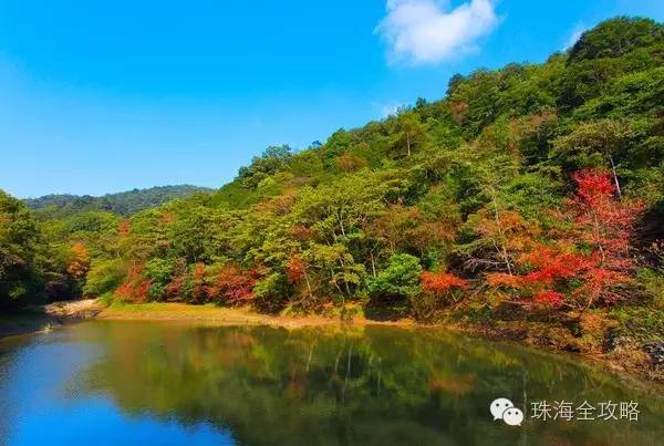 林,河滩岩石裸露 门票:免费 坐标:中山市五桂山镇五桂山自然风景区 4