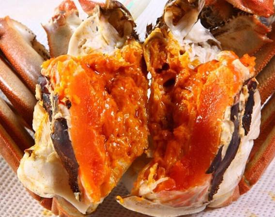 丰富的小鱼虾,螺狮等天然水生物是其食之不竭的饵料,沱湖螃蟹青背,白
