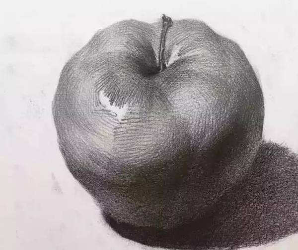 超全的素描静物单体素材