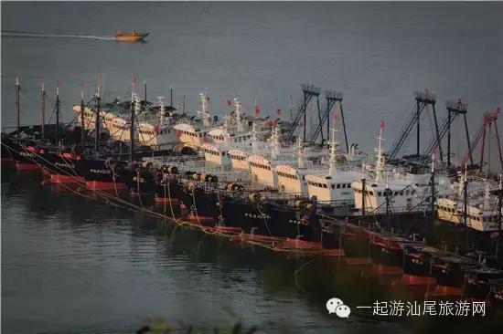汕尾渔港游玩攻略,汕尾渔港游玩攻略一日游