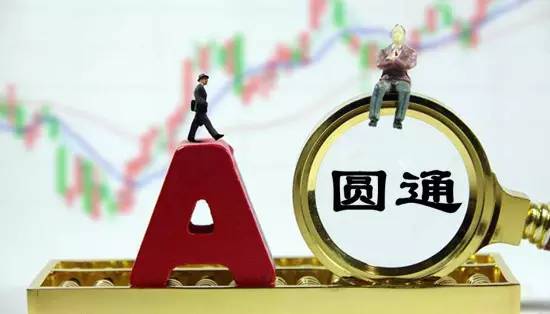 哪里买牛角号 a267ws6548350435708.jpeg