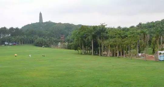 青秀山风景区