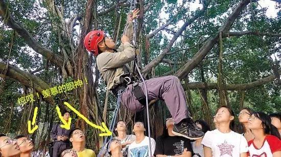 树上有个好地方完整版视频 a8r0sd87036820989925.jpeg