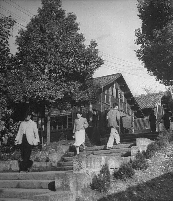 学田湾人口_学田湾市场猪肉