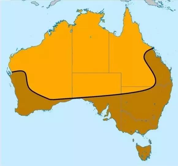a9l4oc49502767866596.jpg