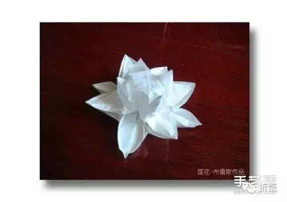 在古希腊、古罗马,睡莲与中国的荷花一样,被视为圣洁、美丽的化身。德国人心目中的睡莲,花语是妖艳,凡是受到这种花祝福而生的人,天生具有一股异性难以抗拒的魅力,可是却难以和同性朋友和平相处。在古埃及神话里,太阳是由荷花绽放诞生的,睡莲因此被奉为神圣之花,成为遍布古埃及寺庙廊柱的图腾,象征着只有开始,不会幻灭的祈福。 更多免费内容点阅读原文阅读