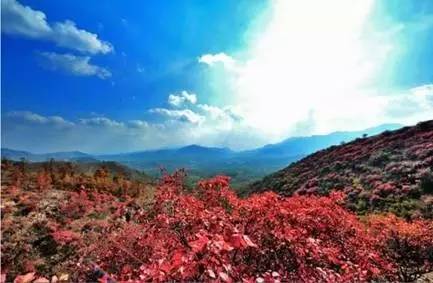 沂蒙山好风光简谱_沂蒙山小调简谱