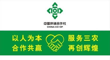 事实上,供销合作社发展农村电商大有可为,无论是产业基础还是发展