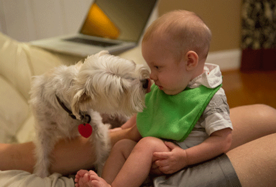 比起iphone和ipad,有狗的童年,幸福多了! ?