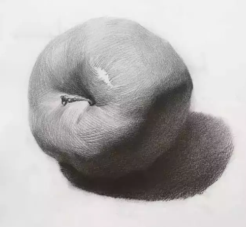 静物蔬菜水果素描单个图片展示