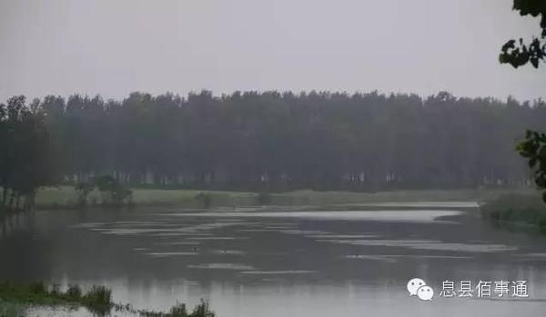 天凉了,来息县淮河湿地公园玩吧!