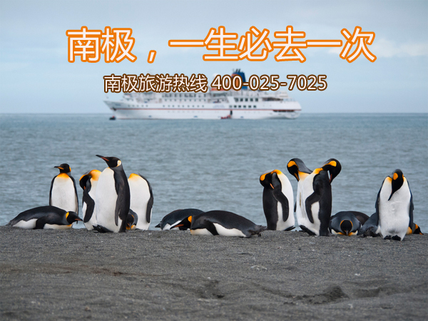 南极旅游费用一览表两个人