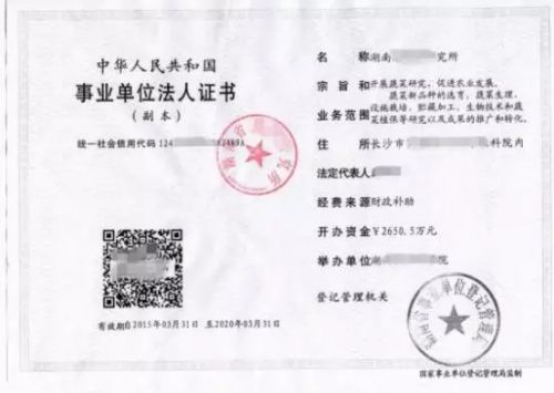 a86dav9145592023855.jpg