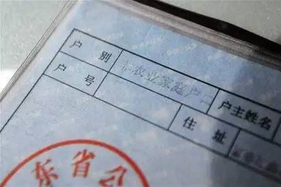 2017农业人口_人口普查